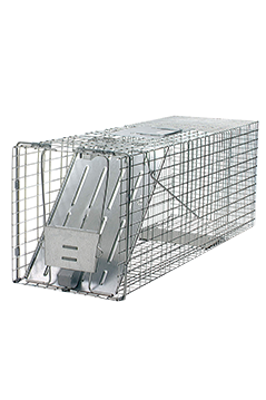 Live Traps